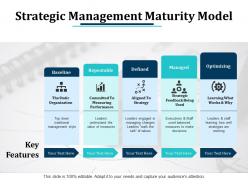 Strategic management maturity model ppt pictures design templates