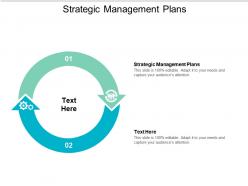 Strategic management plans ppt powerpoint presentation portfolio graphics tutorials cpb