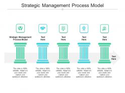 Strategic management process model ppt powerpoint presentation layouts picture cpb