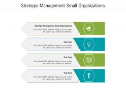 Strategic management small organizations ppt powerpoint presentation slides inspiration cpb
