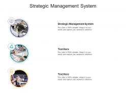 Strategic management system ppt powerpoint presentation show slides cpb