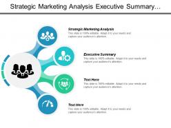 Strategic marketing analysis executive summary option strategy business appraisal cpb