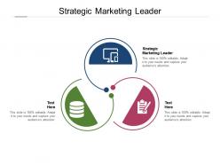 Strategic marketing leader ppt powerpoint presentation outline samples cpb
