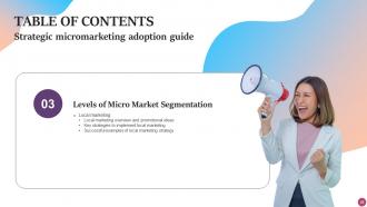 Strategic Micromarketing Adoption Guide MKT CD V Graphical Informative