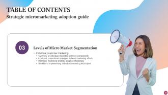 Strategic Micromarketing Adoption Guide MKT CD V Adaptable Informative