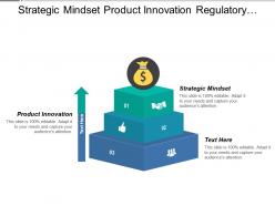 Strategic mindset product innovation regulatory knowledge collaboration relationship