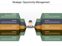 Strategic opportunity management ppt powerpoint presentation ideas display cpb