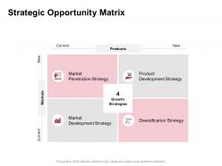 Strategic opportunity matrix development strategy ppt powerpoint presentation strategy