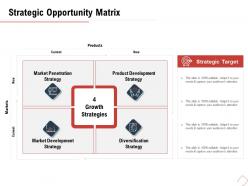Strategic opportunity matrix penetration m487 ppt powerpoint presentation styles summary