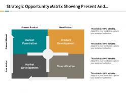 Strategic opportunity matrix showing present and new market