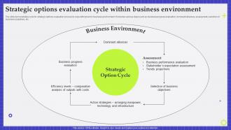 Strategic Options Evaluation Cycle Within Business Environment