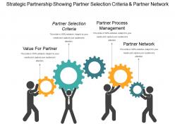 Strategic partnership showing partner selection criteria and partner network