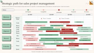 Strategic Path For Sales Project Management