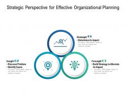 Strategic perspective for effective organizational planning