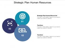 Strategic plan human resources ppt powerpoint presentation infographics information cpb