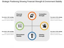 Strategic Positioning Showing Financial Strength And Environment Stability