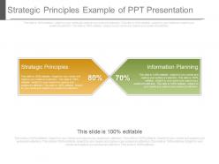 Strategic principles example of ppt presentation