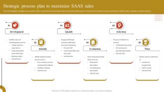 Strategic Process Plan To Maximize SAAS Sales