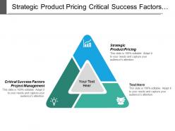 Strategic product pricing critical success factors project management cpb