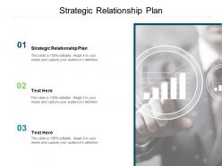 Strategic relationship plan ppt powerpoint presentation summary gridlines cpb