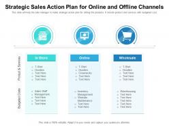 Strategic sales action plan for online and offline channels