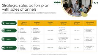 Strategic Sales Action Plan With Sales Channels