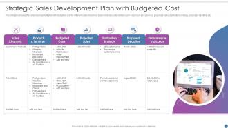 Strategic Sales Development Plan With Budgeted Cost