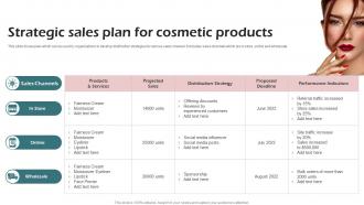 Strategic Sales Plan For Cosmetic Products