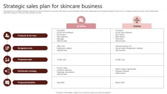 Strategic Sales Plan For Skincare Business