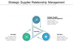 Strategic supplier relationship management ppt presentation professional ideas cpb