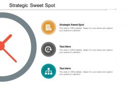Strategic sweet spot ppt powerpoint presentation inspiration format cpb