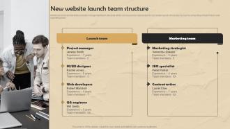 Strategic Website Development New Website Launch Team Structure