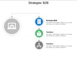 Strategies b2b ppt powerpoint presentation model slides cpb