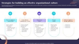 Strategies For Building An Effective Organizational Culture