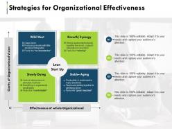 Strategies for organizational effectiveness ppt summary structure