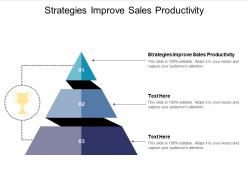 Strategies improve sales productivity ppt powerpoint presentation designs cpb