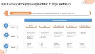 Strategies Introduction Of Demographic Segmentation Customer Segmentation MKT SS V