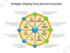 Strategies mapping using business ecosystem