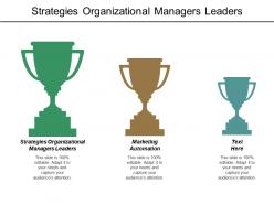 Strategies organizational managers leaders marketing automation e commerce optimization cpb