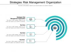 Strategies risk management organization ppt powerpoint presentation picture cpb