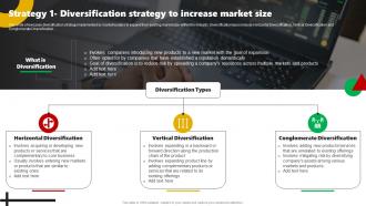 Strategy 1 Diversification Strategy To Increase Market Corporate Leaders Strategy To Attain Market