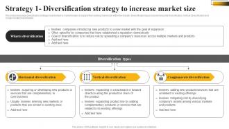 Strategy 1 Diversification Strategy To Increase Market Size Market Leadership Mastery Strategy SS