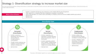 Strategy 1 Diversification Strategy To Increase Market Size The Ultimate Market Leader Strategy SS