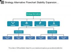 Strategy alternative flowchart stability expansion retrenchment and combination