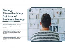 Strategy alternative many opinions of business strategy