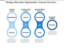 Strategy Alternative Segmentation Channel Structure Consumer Capabilities Costs