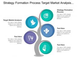 Strategy formation process target market analysis competitive analysis