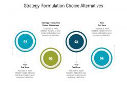 Strategy formulation choice alternatives ppt powerpoint presentation infographic template cpb