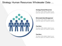 Strategy human resources wholesaler data management strategy modeling cpb