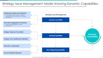 Strategy Issue Management Model Showing Dynamic Capabilities